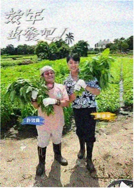 城市漫游计划 免费在线观看综艺节目